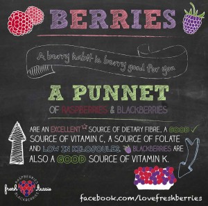 Berry Habit Berry Good For You
