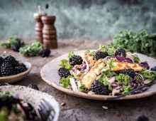 Blackberry Kale Salad with Fried Halloumi